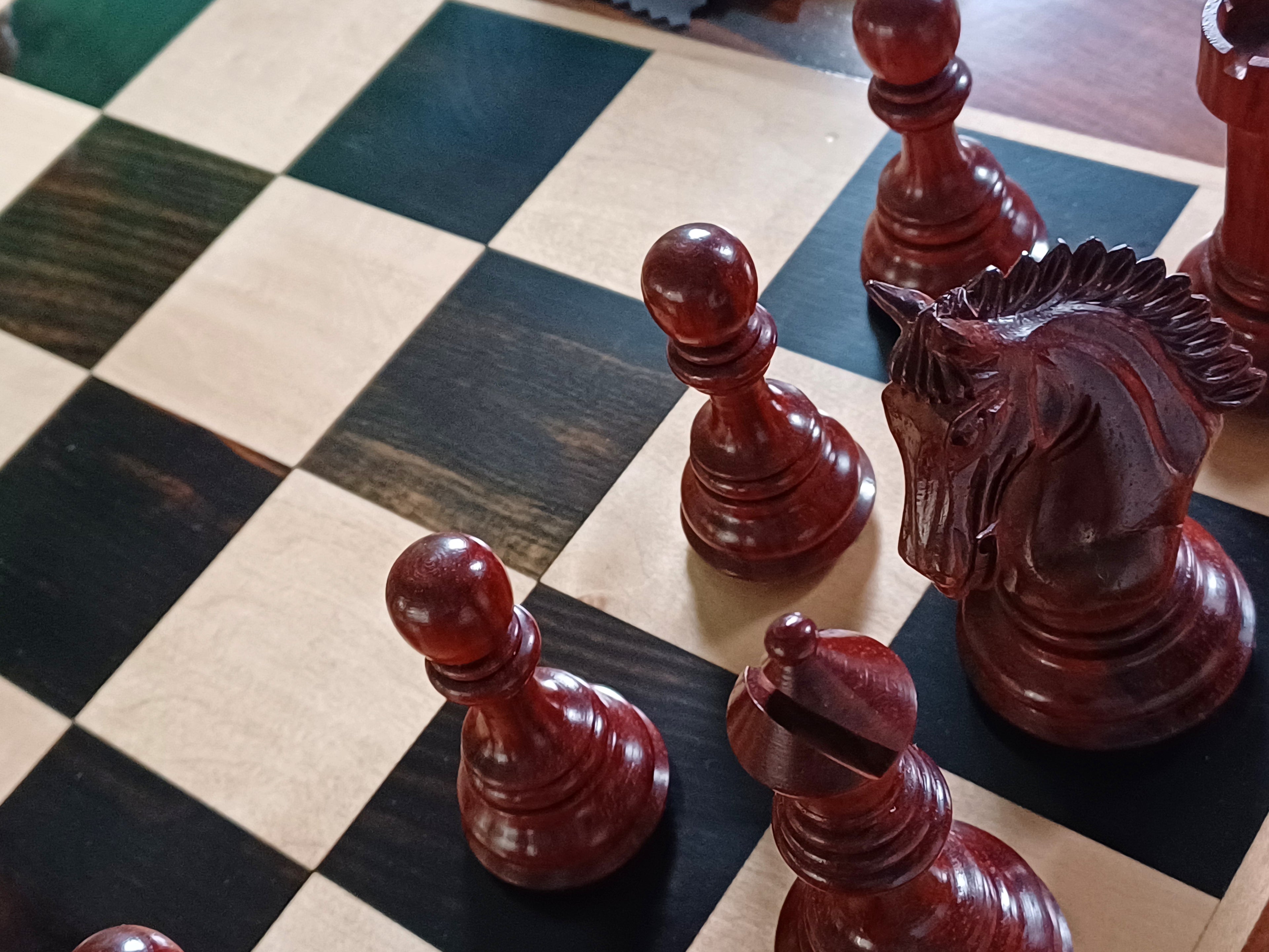 Ajedrez de Lujo Tilted Knight 4.5" | Rosewood (Padauk Africano) y Boj | Royal Chess Mall | Impecable!