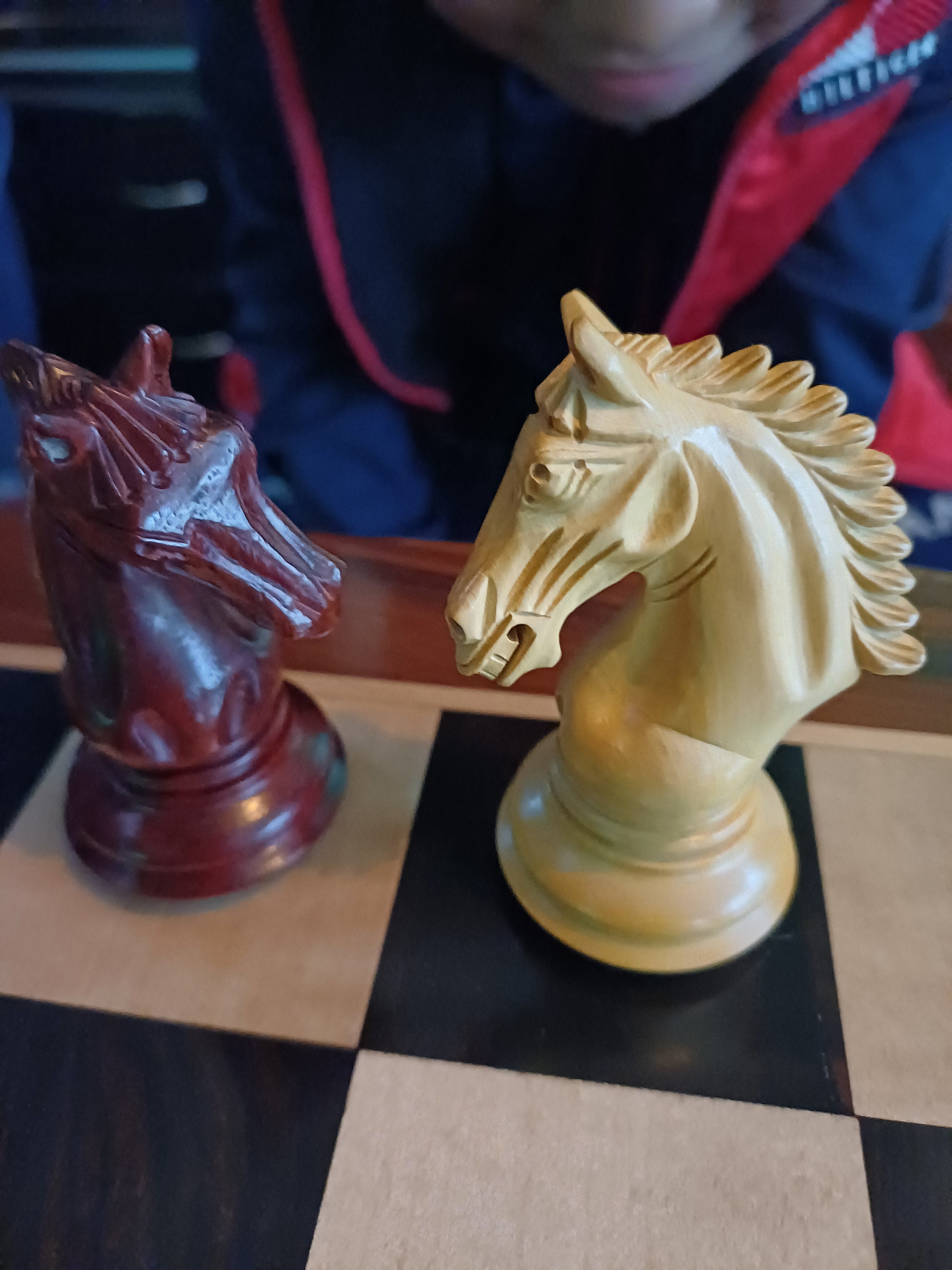 Ajedrez de Lujo Tilted Knight 4.5" | Rosewood (Padauk Africano) y Boj | Royal Chess Mall | Impecable!